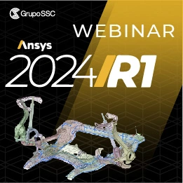 WEBINAR ANSYS 2024 R1